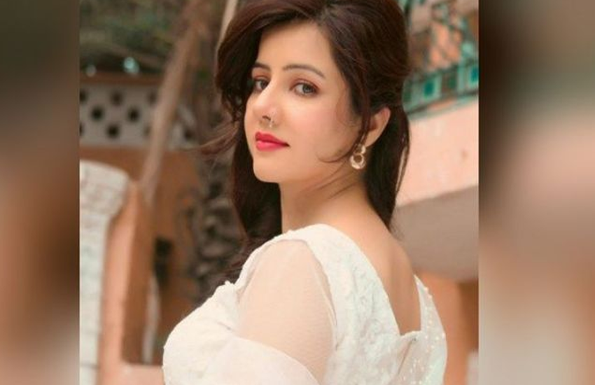 pakistani singer Rabi Peerzada Adult Photo Video goes viral इस