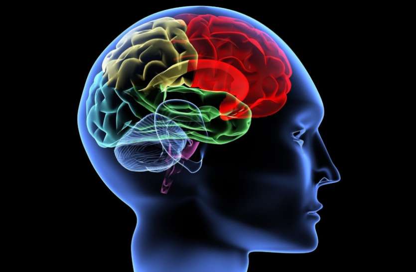 human_mind.jpg