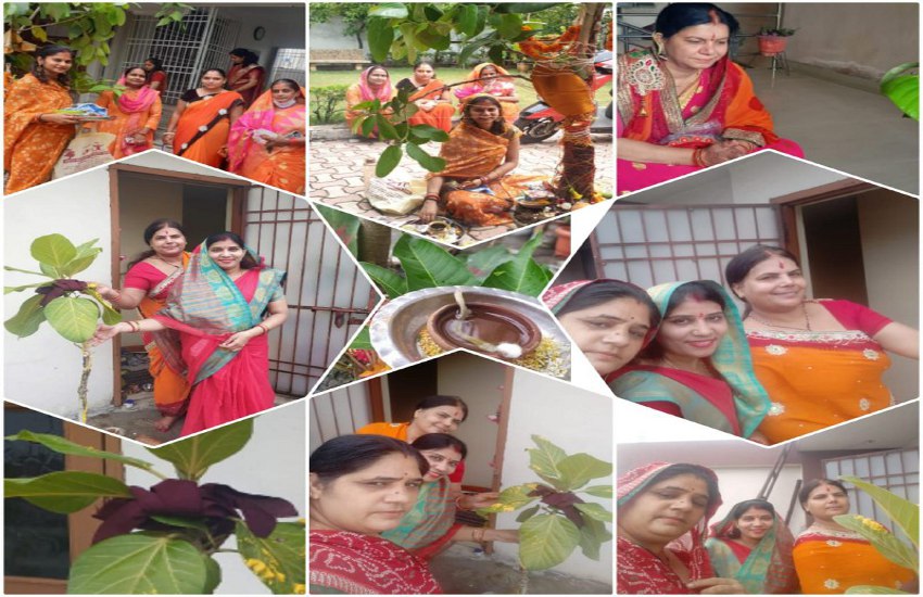 Vat Savitri Vrat 2021 Women Worship Tree For Husband Long Life Vat