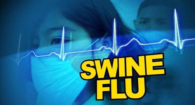 swine flu 