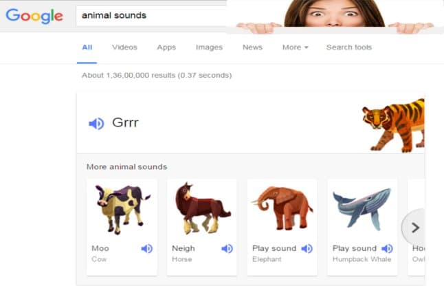 Google Animal Scounds