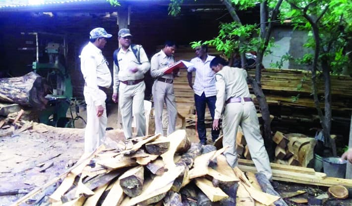 The forest department's raid