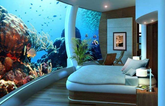 live fish aquarium