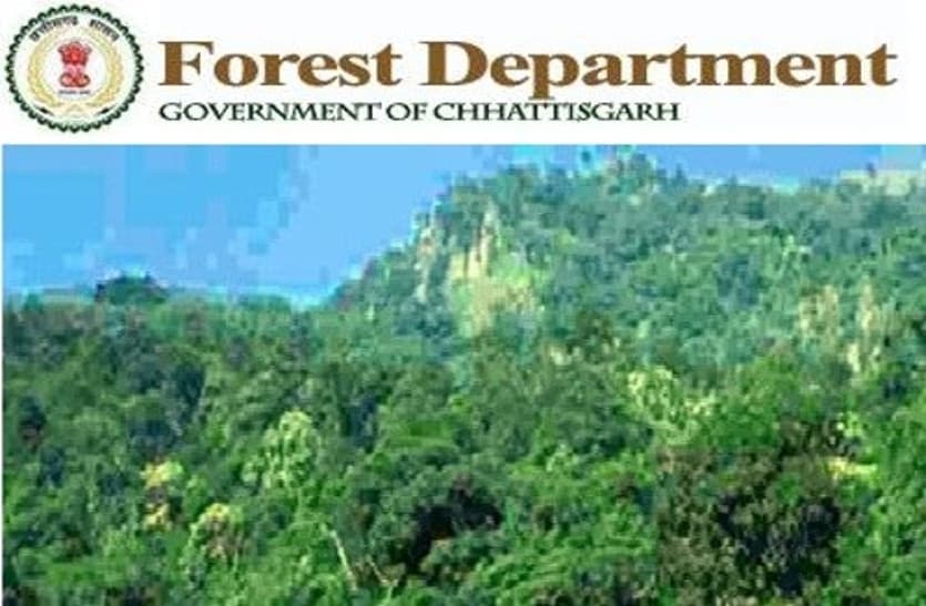 chhattisgarh forest news