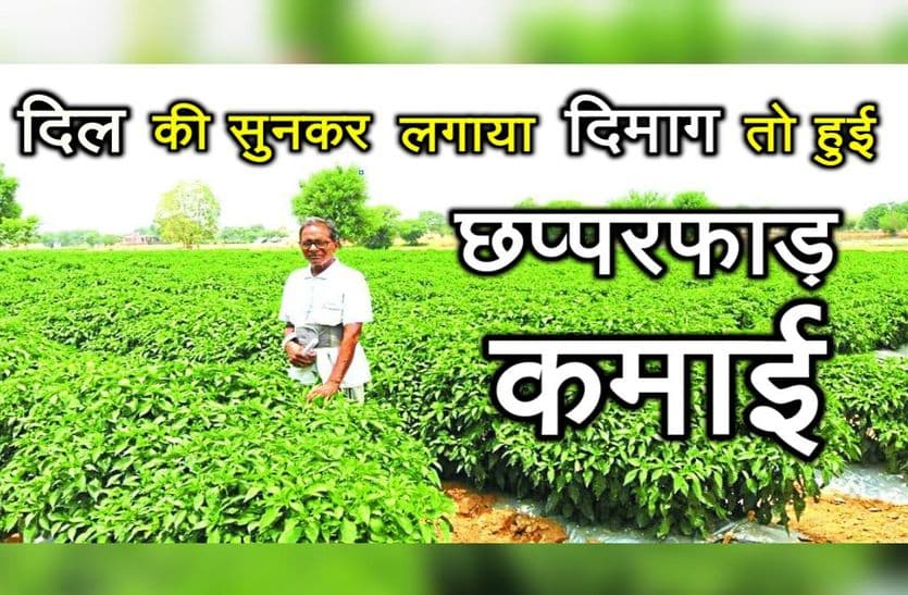 SIkar Farmer Jhabar Singh Success story