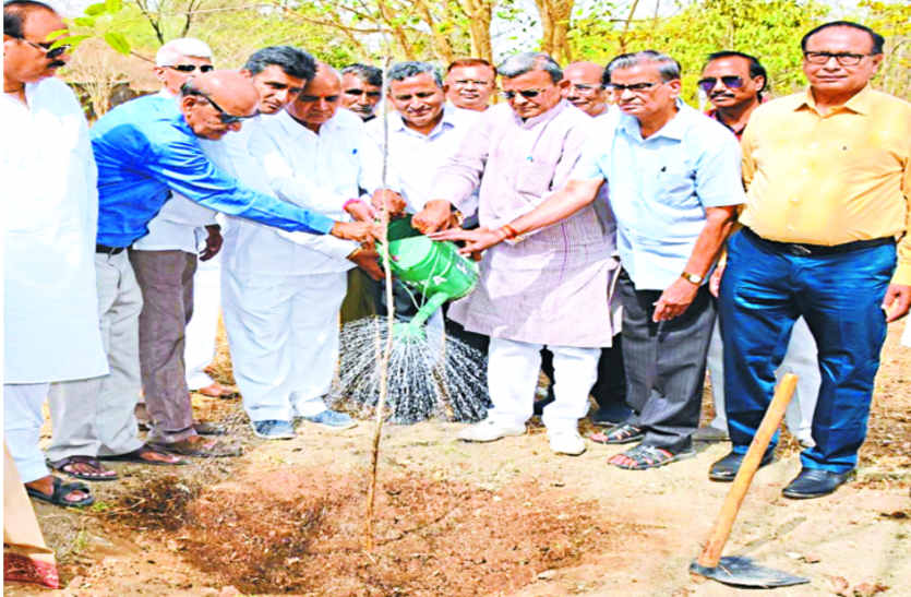 Sangam Group adopts smrati garden in bhilwara