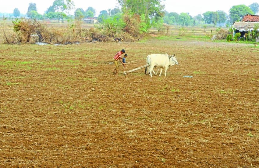 Monsoon farmer kharif crop preparation
