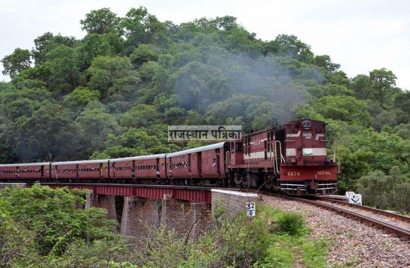 Train passing through Gorhamghat of Pali