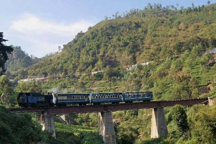 Foreign Trains Hired for Honeymoon Trip