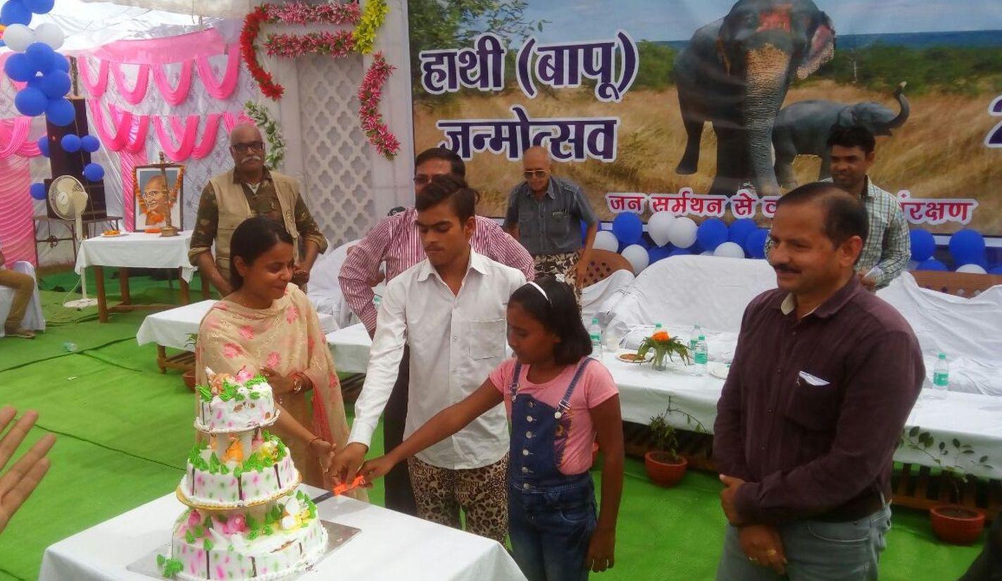 Elephent Bapu's First Birthday celebrated in Panna Tiger Reserve