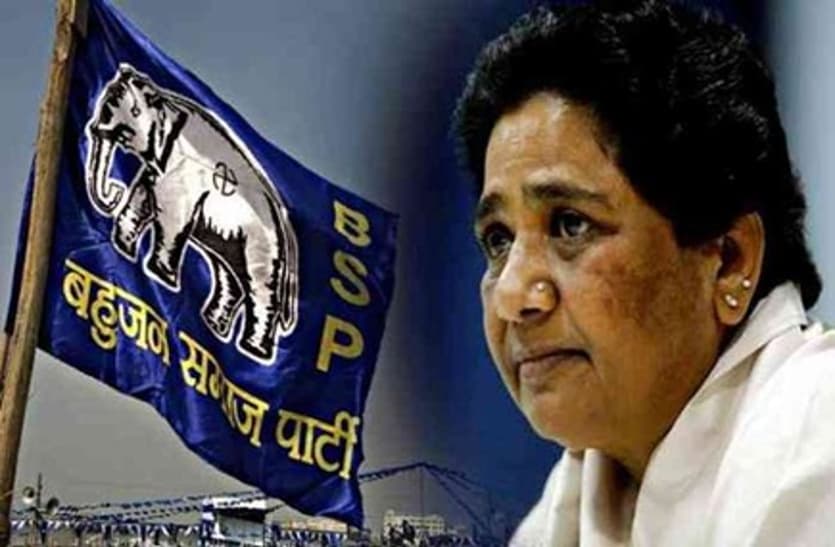 BSP candidates contesting for the first time
