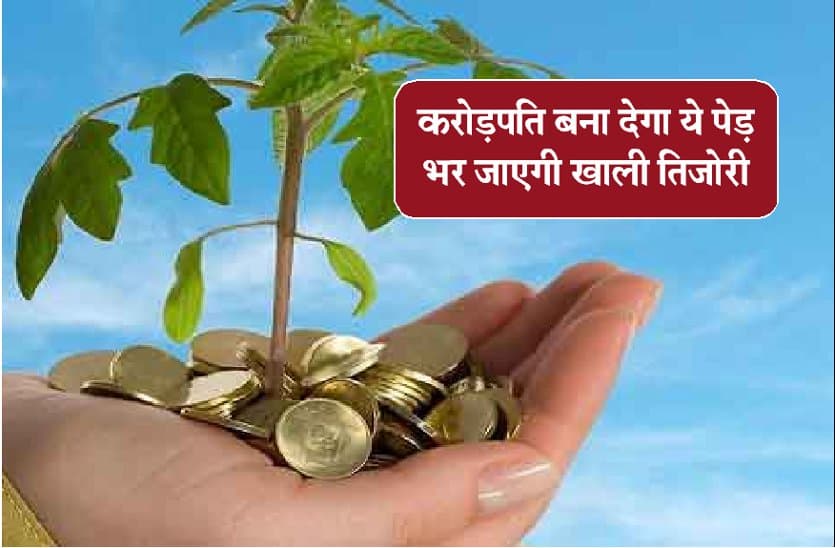 vastu shastra tips for money in hindi,