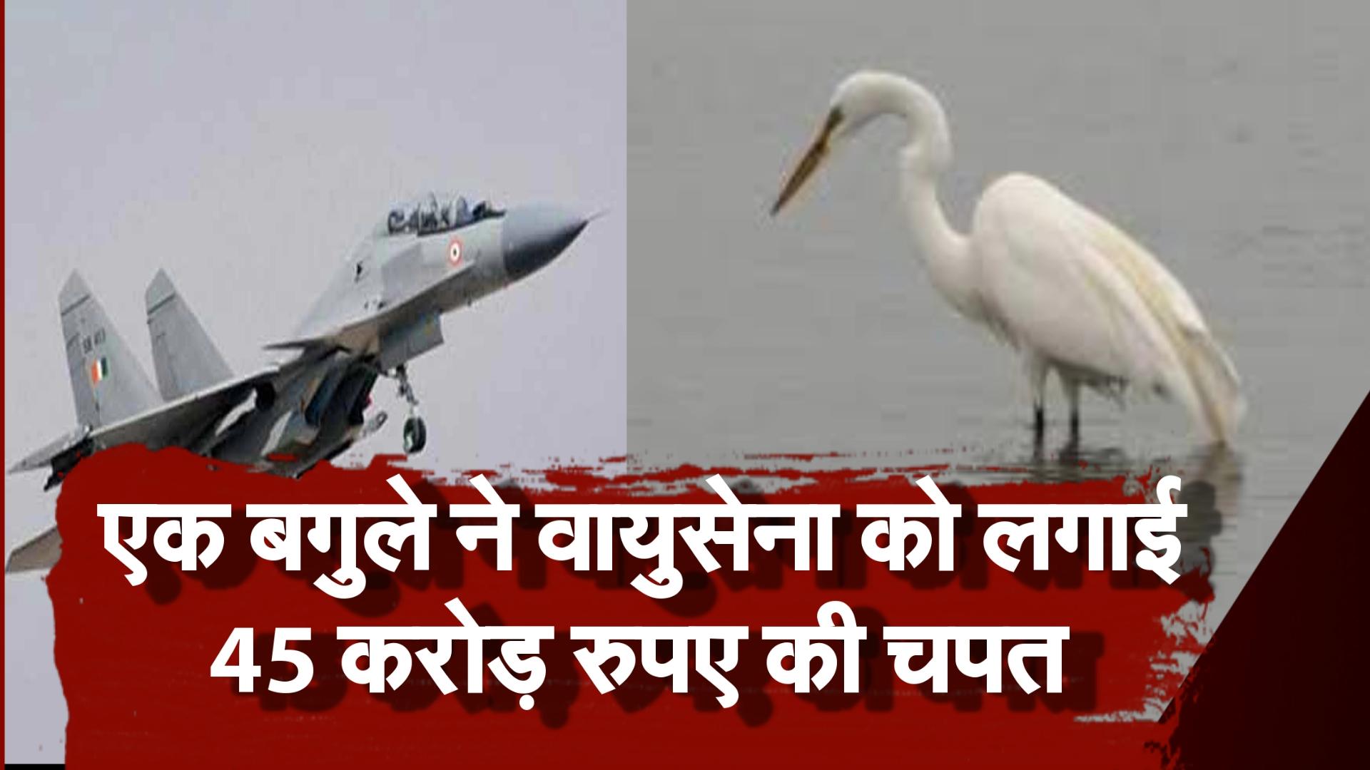 jodhpur airforce sukhoi hits bird