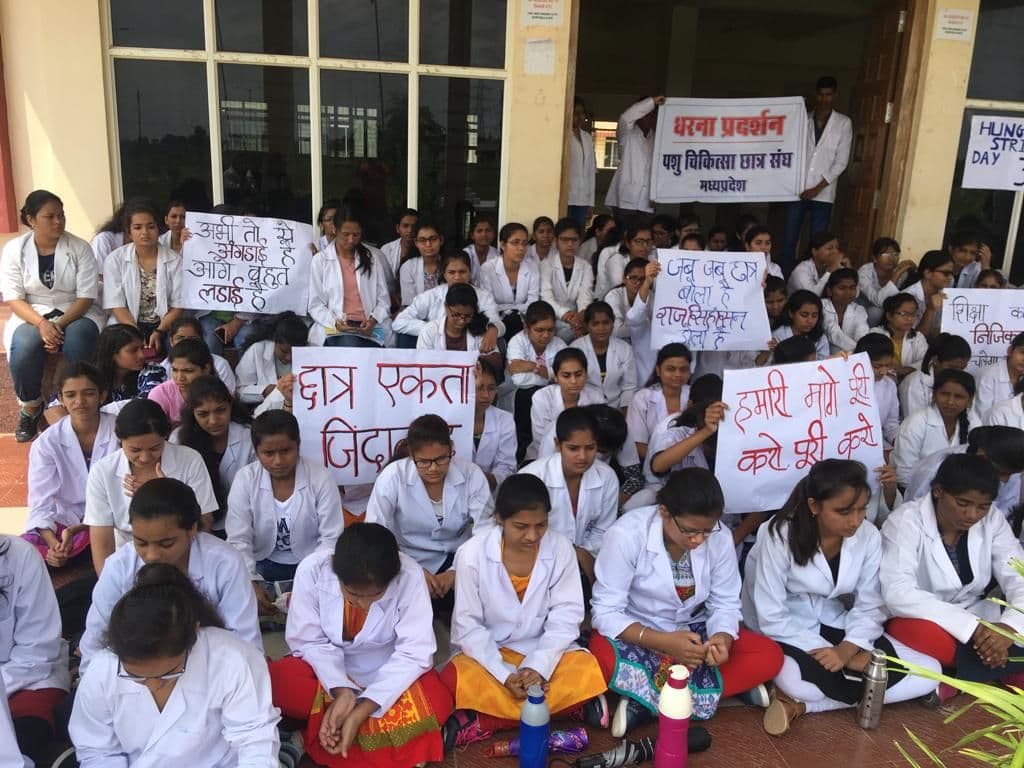 Veterinary students sitting on hunger strike deteriorate