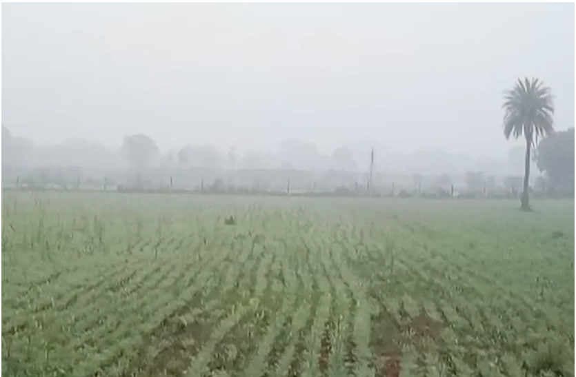  Bhilwara in fog, people wrapped in warm clothes