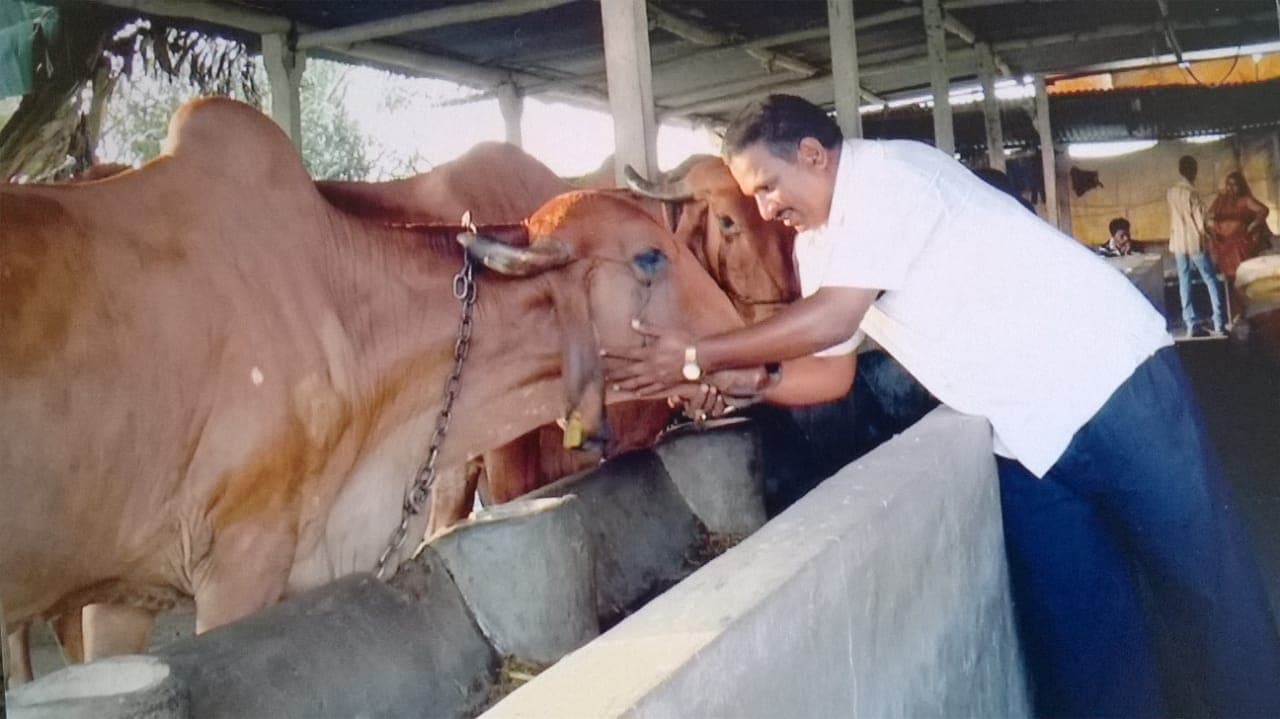 गुजरात:  एक गाय से पालन आरंभ करने वाले वनराज के पास आज हैं देशी गिर की 110 गाय