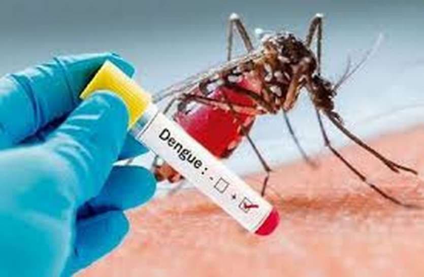 Corona Virus: Dengue And Malaria Symptoms During Rainy Season