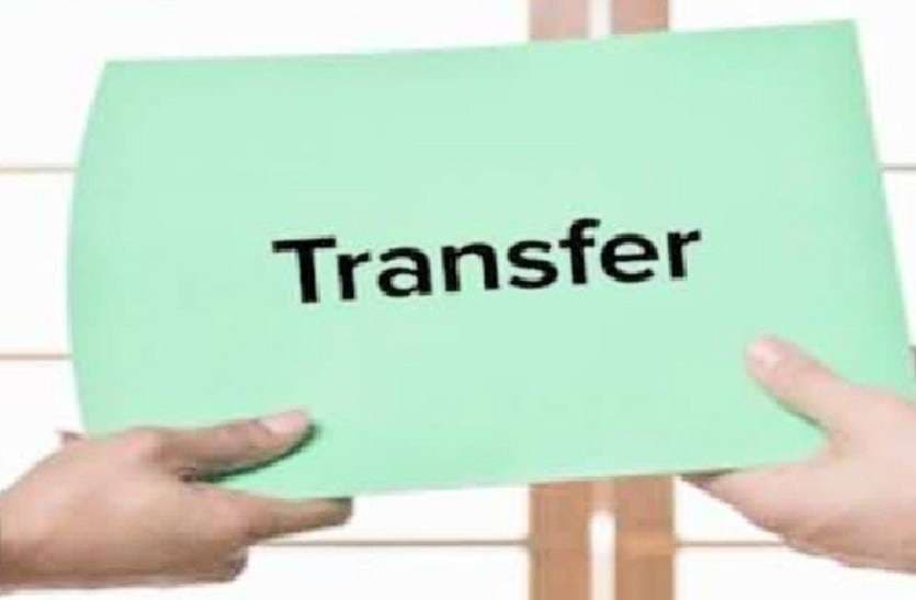 transfer_.jpeg