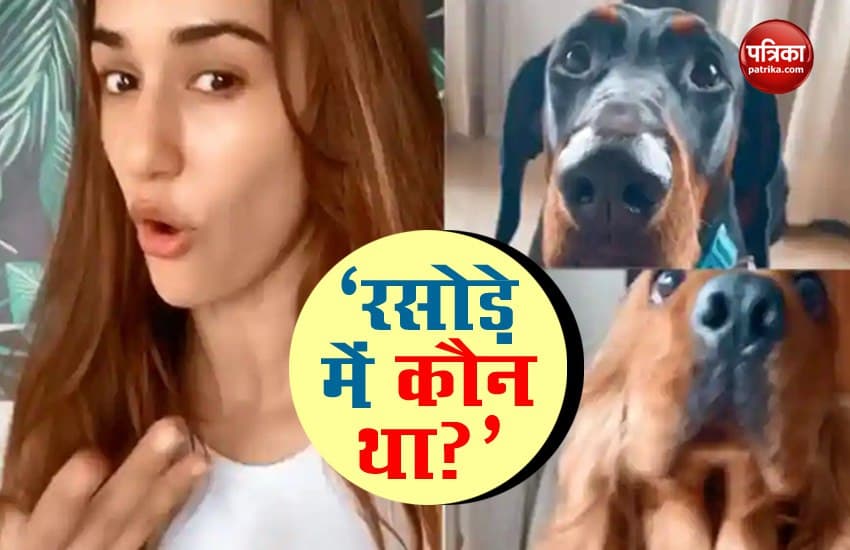 Disha Patani 'Rasode Mein Kaun Tha' video viral