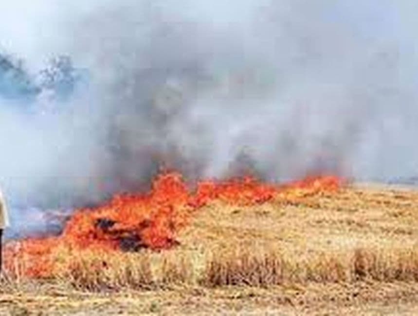 हनुमानगढ़: ताकि शहर व गांवों में नहीं फैले धुआं, खेतों में पराली जलाने से रोकने को लेकर प्रशासन ने बनाया प्लान