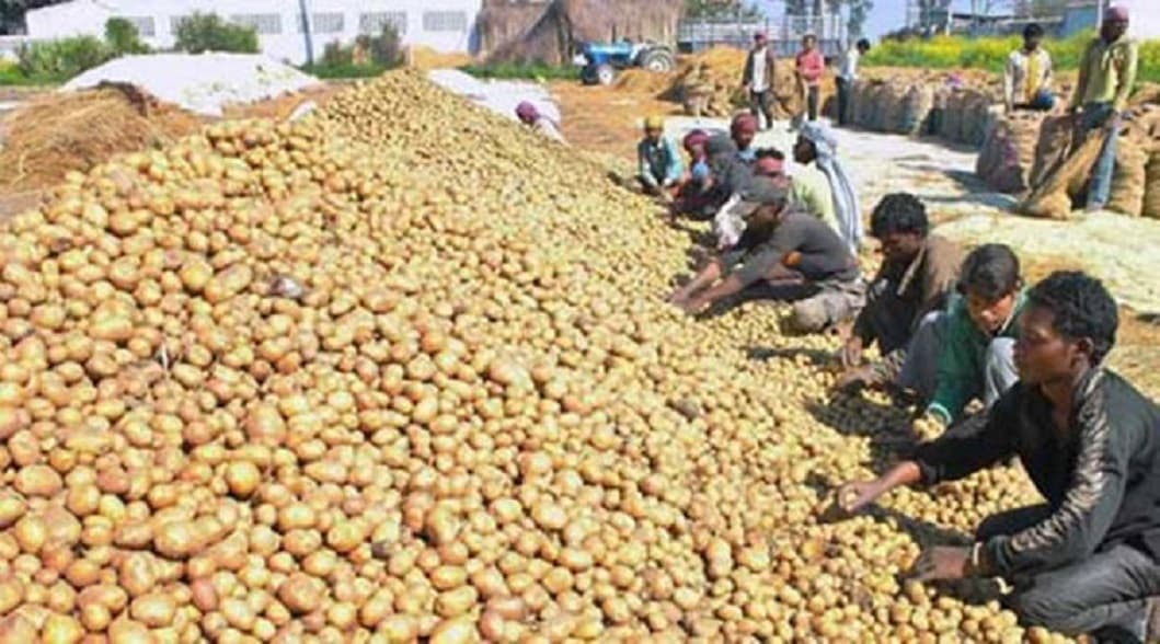 Potato, apple prices rise in Delhi due to impact of farmer movement