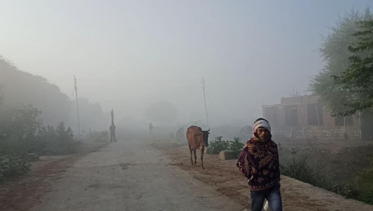 ग्रामीण इलाकों में छाया कोहरा, शहर में खिली धूप