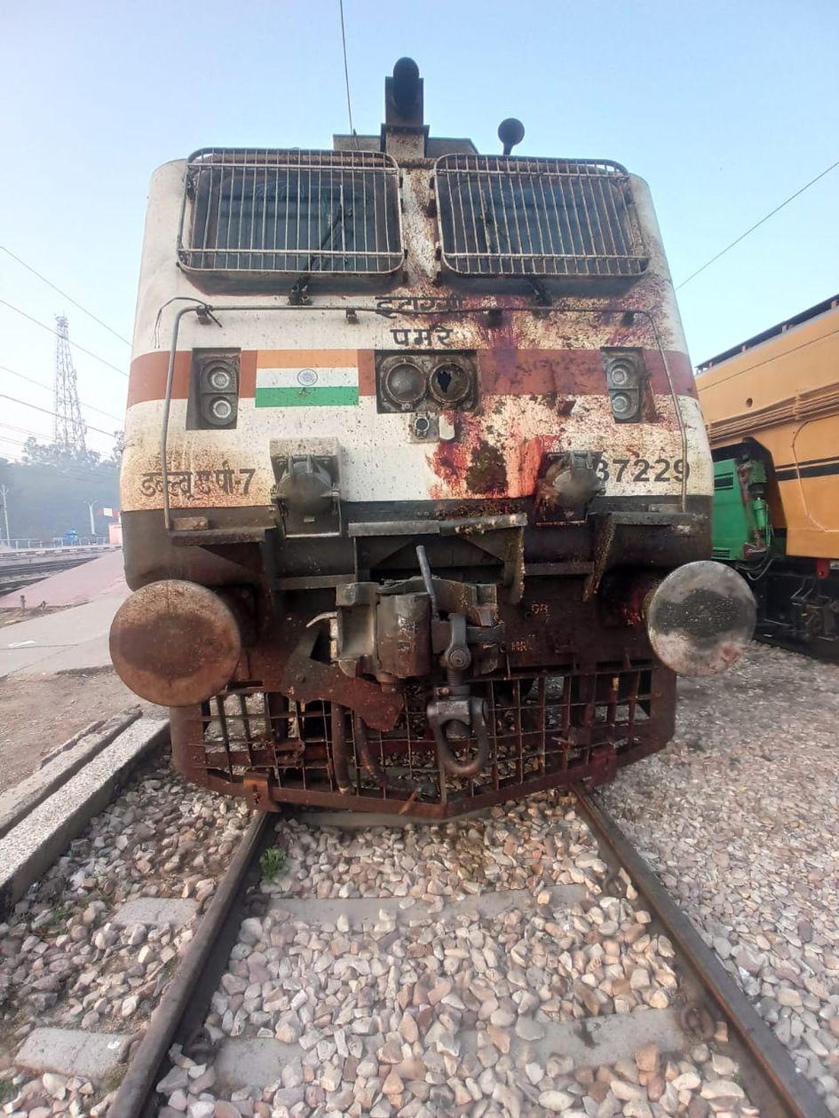 नंदा देवी एक्सपे्रस ट्रेन की चपेट में आने से ऊंट की मौत