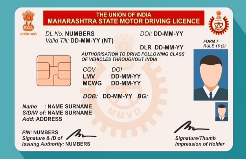 driving_license 