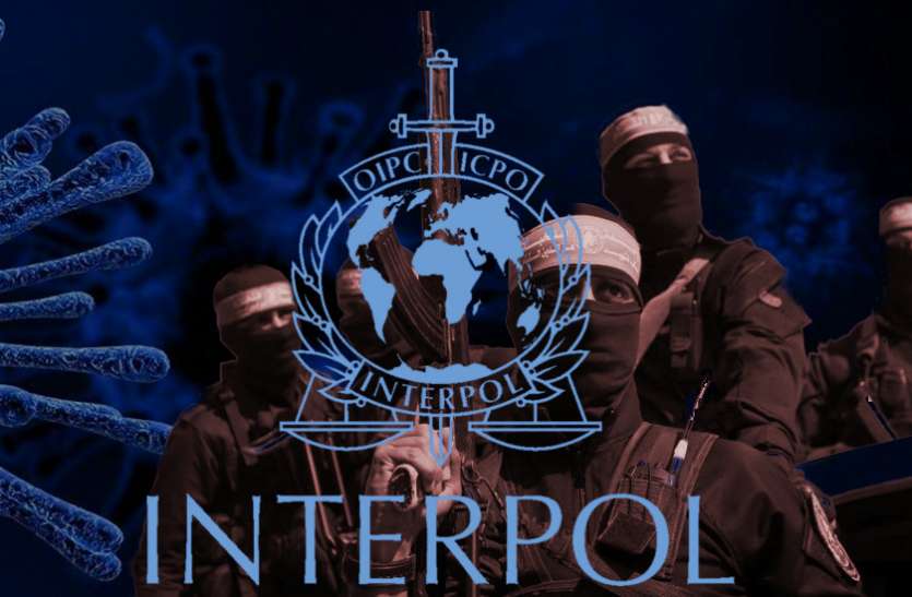 interpol_warns_on_terrorists.jpg