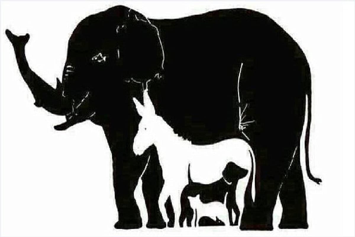 Optical Illusion Can You Find 16 Animal Including Elephant In this Picture