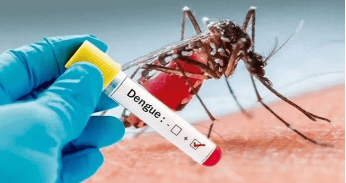 Dengue Symbloic Image 