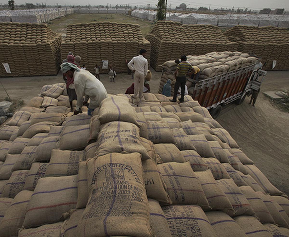 भारत में गेहूं और चावल का पर्याप्त स्टॉक...लेकिन बफर स्टॉक बढ़ाने से बढ़ेंगी कीमतें