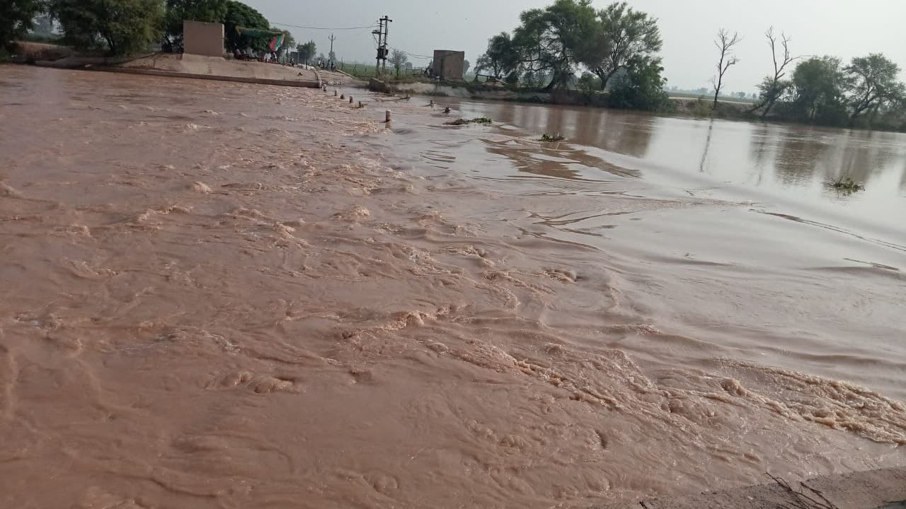 Ghaggar river water level update Flood threat in Hanumangarh