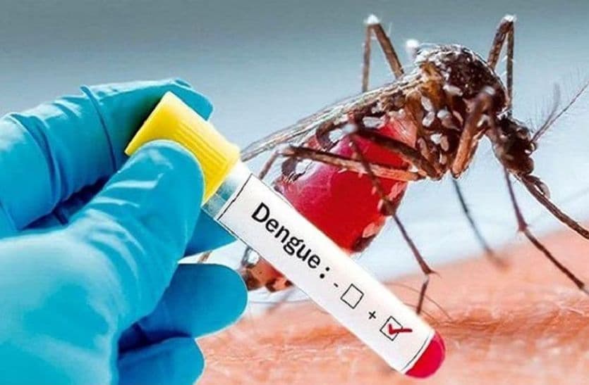 dengue.jpg