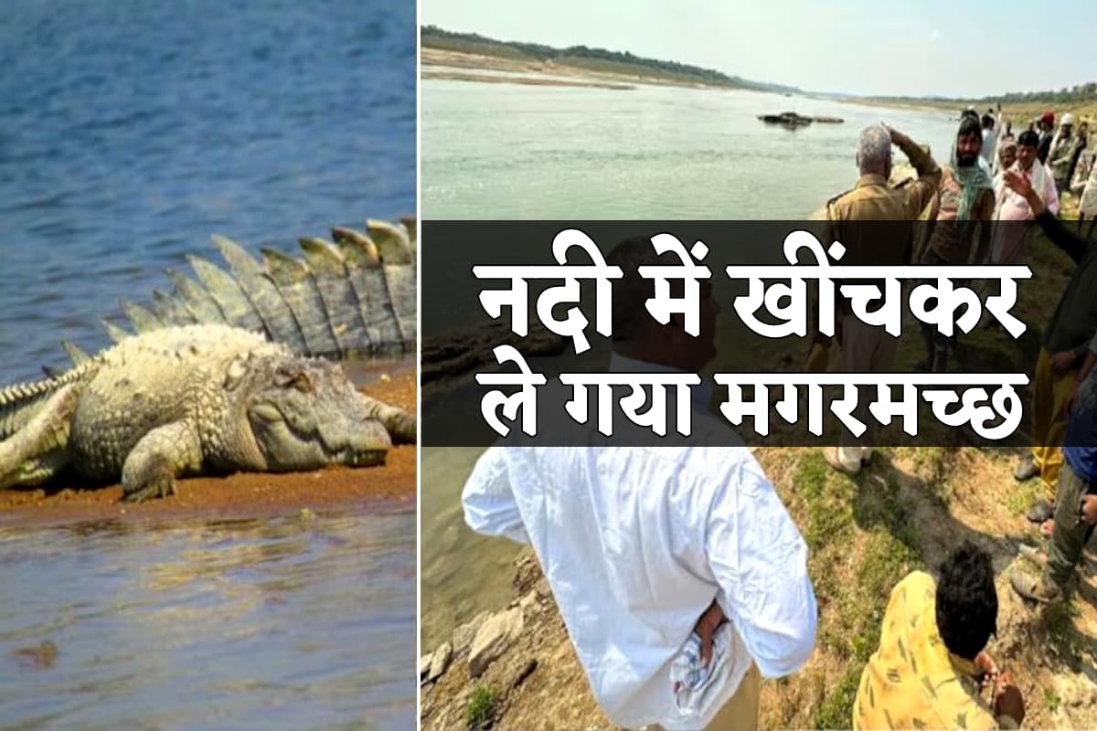 crocodile attack in chambal river