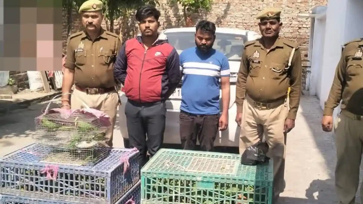 315-parrots-were-being-smuggled-by-car-in-rampur.jpg