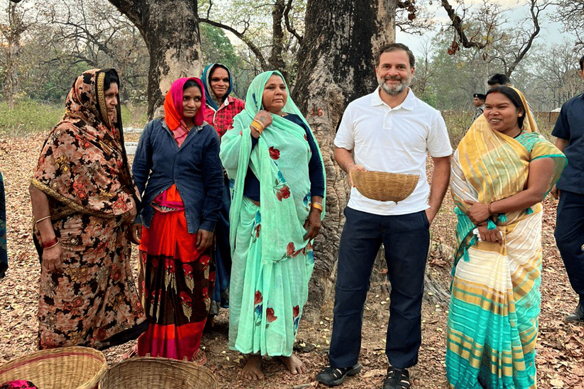 rahul gandhi searching and test mahua in forest with tribal womens