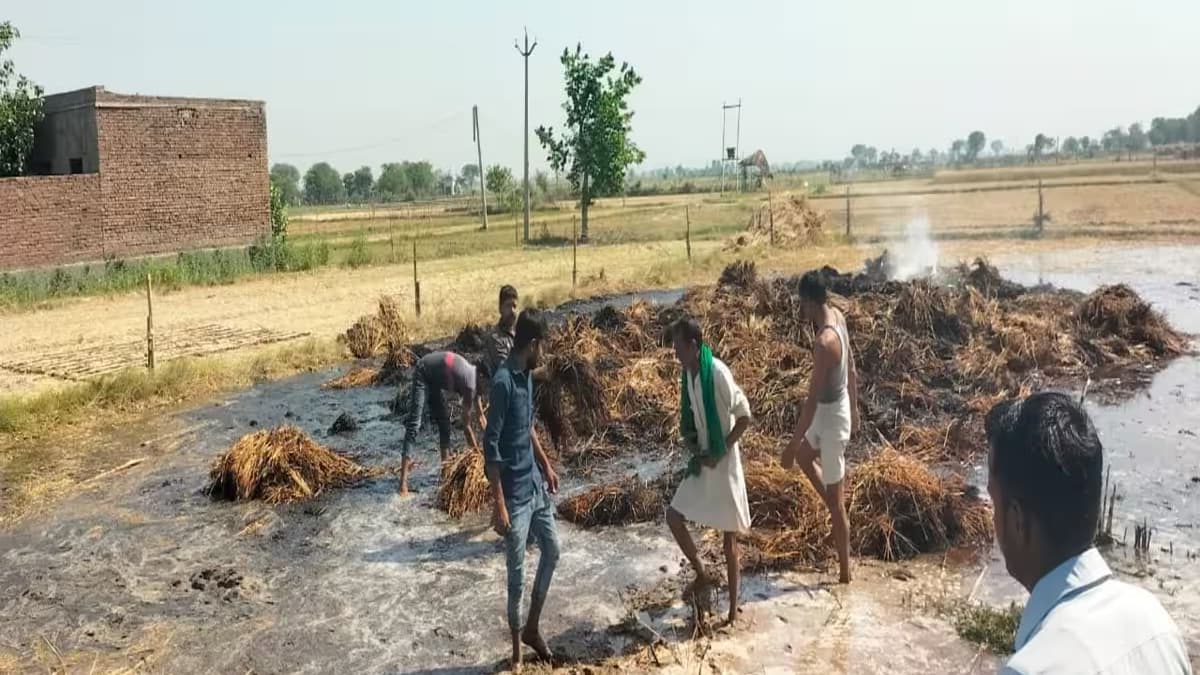 20 bigha wheat crop burnt to ashes in Sambhal