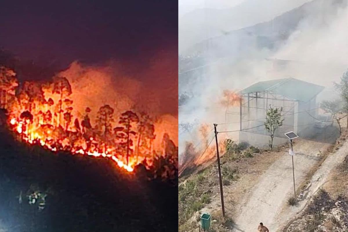 The fire in the forests of Uttarakhand is becoming increasingly severe