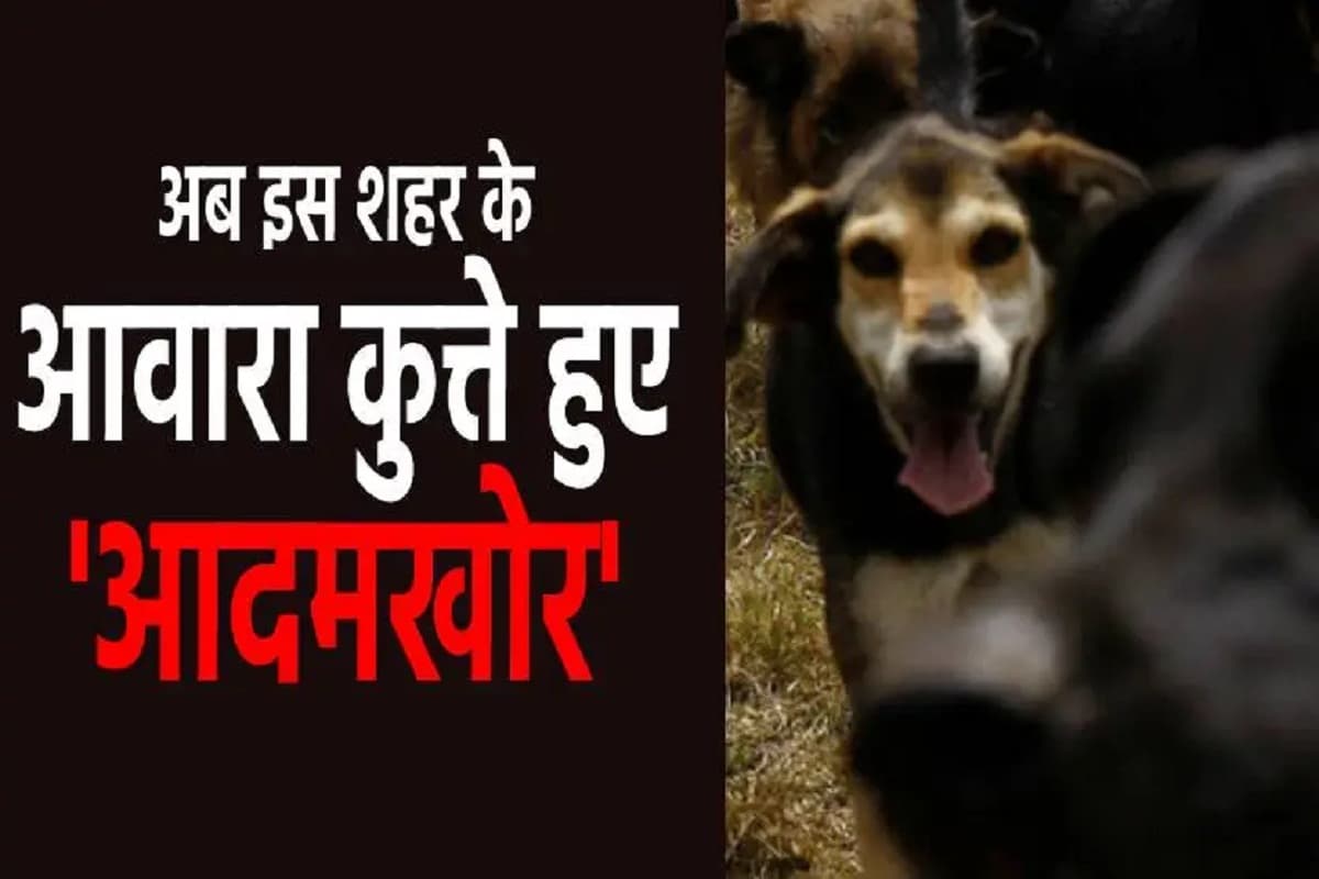Korba news, crime news, dog attack