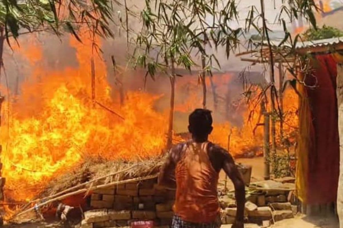 Fire broke out in thatch, 5 buffaloes burnt alive