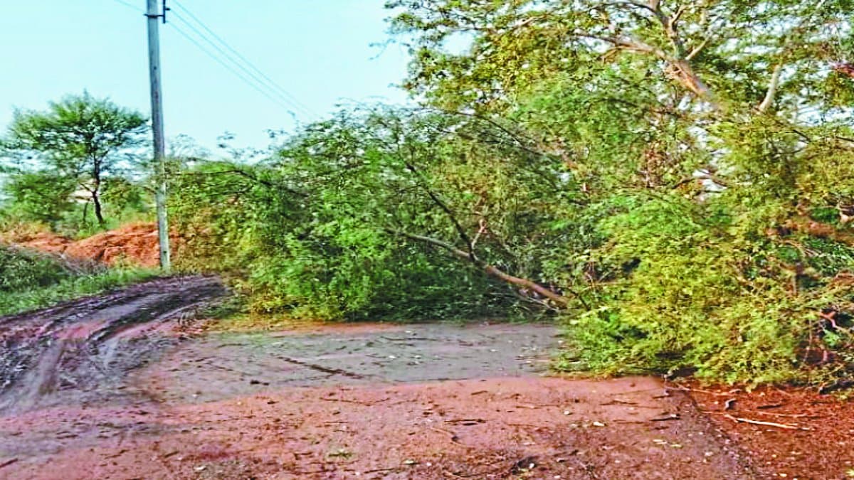 बालोद जिले में भीषण गर्मी में बारिश हो रही है। मंगलवार शाम से देर रात तक तेज आंधी-तूफान के साथ बारिश हुई। कई जगहों पर पेड़ गिरे। पेड़ तारों पर गिरने से कई गांव में बिजली देर रात तक बंद रही।