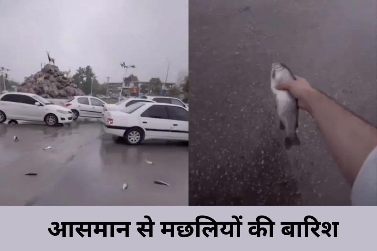 Fish rained from the sky in Iran, Video Viral