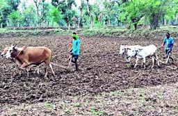 किसानों के लिए भू-अधिकार ऋण पुस्तिका ऑनलाइन उपलब्ध