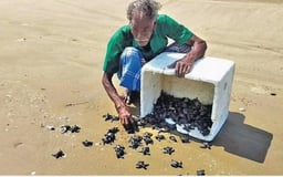 turtles:  कछुओं की एक प्रजाति बचाने में जुटा है यह मछुआरा