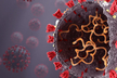 नया कोविड वैरिएंट ‘FLiRT’: रोग प्रतिरोधक क्षमता को भी चकमा देने में सक्षम, WHO
ने जारी की चेतावनी
