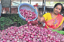 Onion Price in India: आम लोगों को नहीं रुलाएगी प्याज की महंगाई, सरकार ने आज से
किए ये बदलाव