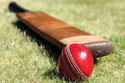 बल्लेबाज ने खेला तेज़तर्रार शॉट, गेंद सीधा गेंदबाज के प्राइवेट पार्ट पर लगी, पिच
पर ही हो गई मौत