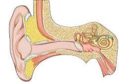 कान में पानी जाने से होता ज्यादा संक्रमण, छेद भी हो सकता