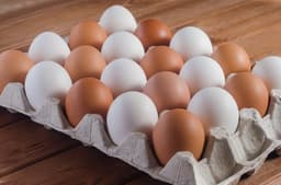 Health Benefits of Eggs:  रोजाना अंडे खाने के कई फायदे, जानिए इसे खाने का सही तरीका